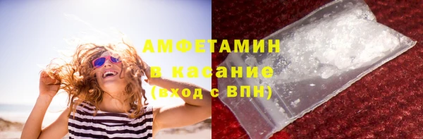 мдпв Бородино