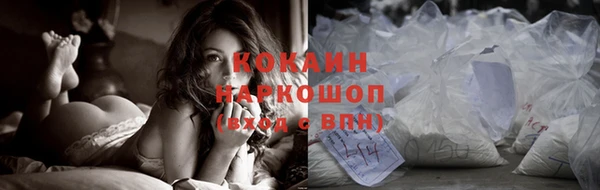 бошки Бронницы