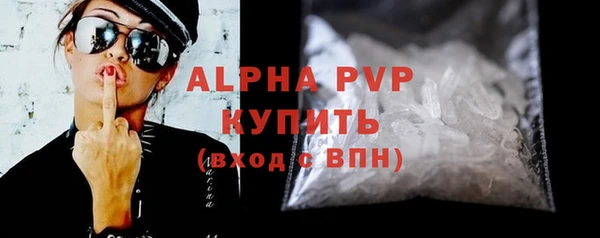 мдпв Бородино