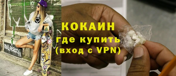 мдпв Бородино