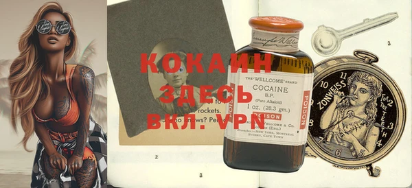 бошки Бронницы