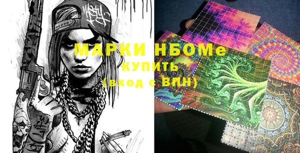 мдпв Бородино
