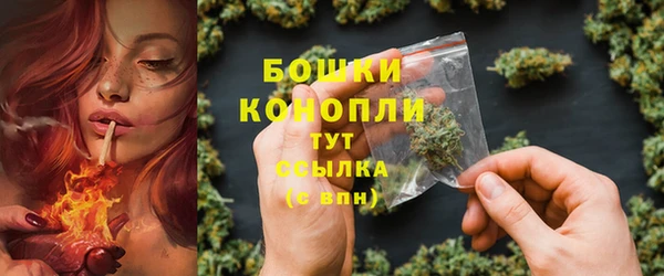 мдпв Бородино