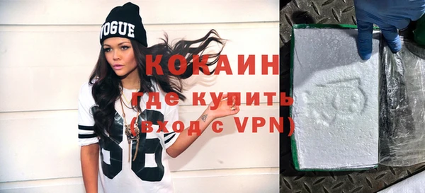 мдпв Бородино