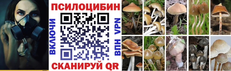 сколько стоит  darknet наркотические препараты  Псилоцибиновые грибы Psilocybine cubensis  Орск 